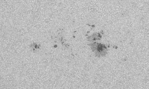 2025年3月19日（活動領域14028）
