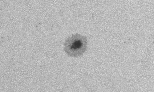 2025年3月19日（活動領域14030）