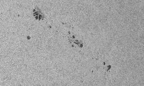 2025年4月1日（活動領域14043）