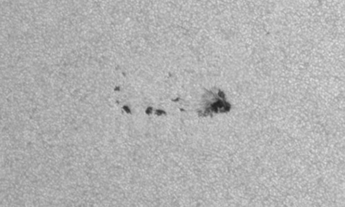 2025年4月1日（活動領域14049）