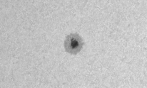 2025年4月10日（活動領域14056）