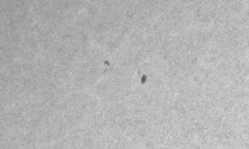 2025年4月11日（活動領域14059）