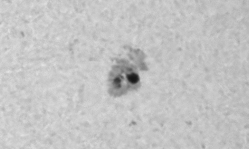 2025年4月17日（活動領域14060）