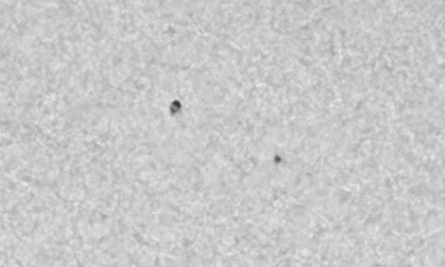 2025年4月17日（活動領域14063）