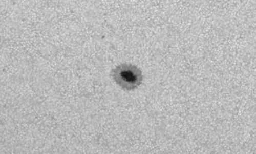 2025年4月23日（活動領域14065）