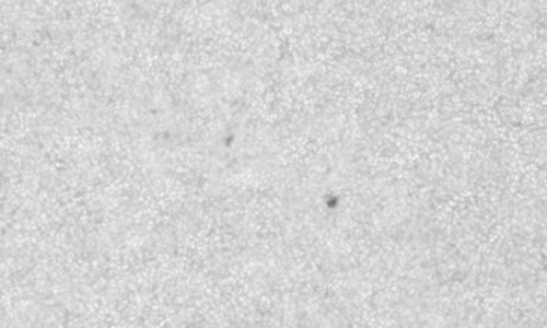 2025年4月23日（活動領域14067）