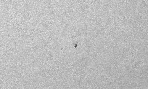 2025年4月24日（活動領域14074）