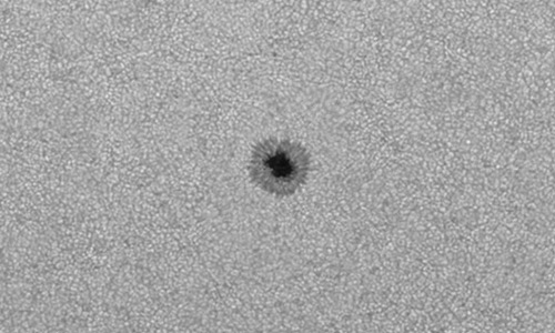 2025年4月24日（活動領域14065）