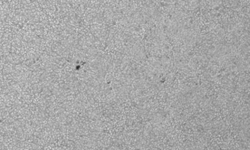 2025年4月24日（活動領域14066）