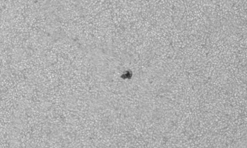 2025年4月24日（活動領域14067）