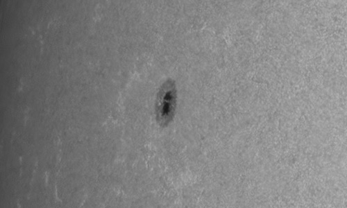 2025年4月24日（活動領域14072）