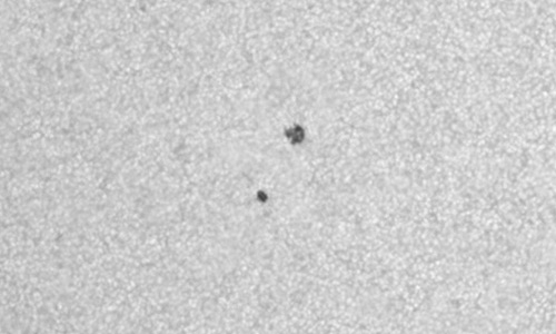 2025年5月19日（活動領域14091）