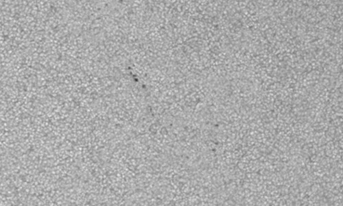 2025年5月22日（活動領域14089）