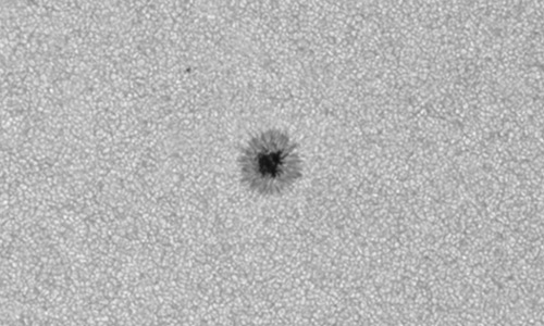 2025年5月28日（活動領域14096）