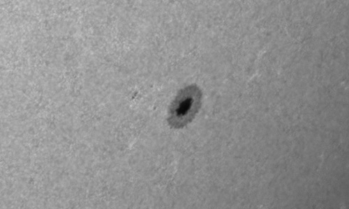 2025年5月29日（活動領域14092）