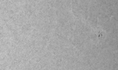 2025年5月29日（活動領域14094）