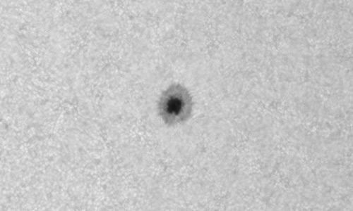 2025年5月29日（活動領域14096）