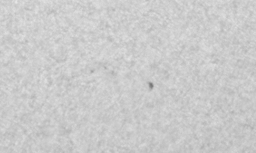 2025年5月29日（活動領域14102）