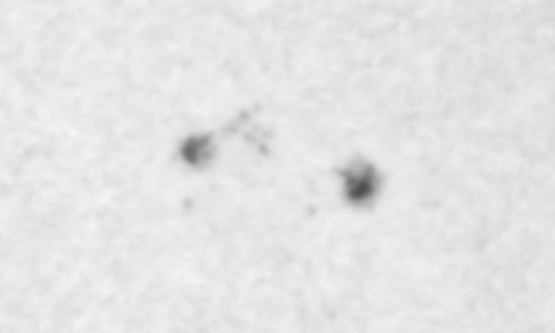 2025年5月31日（活動領域14101）