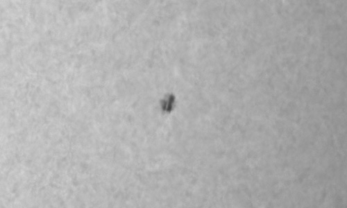 2025年6月3日（活動領域14101）