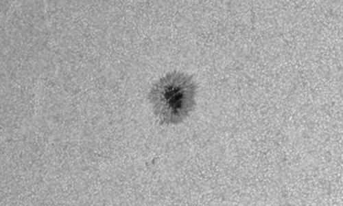 2025年6月12日（活動領域14111）