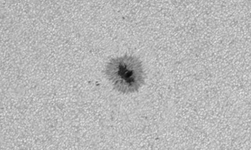 2025年6月14日（活動領域14111）