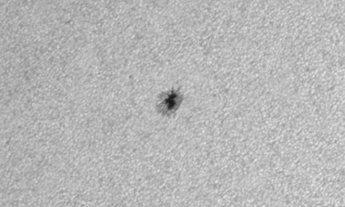 2025年6月14日（活動領域14113）