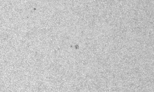 2025年6月18日（活動領域14113）