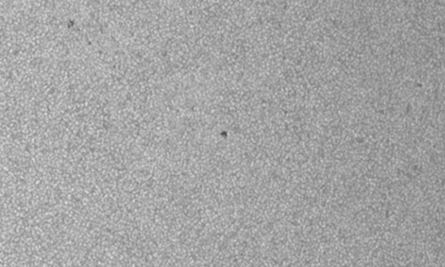 2025年6月19日（活動領域14113）