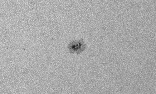 2025年6月19日（活動領域14116）