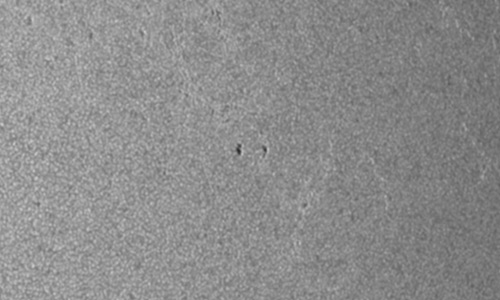 2025年6月20日（活動領域14113）