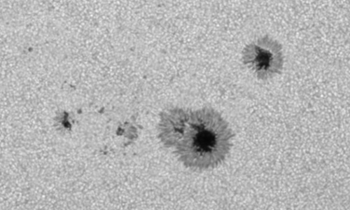 2025年6月24日（活動領域14117）