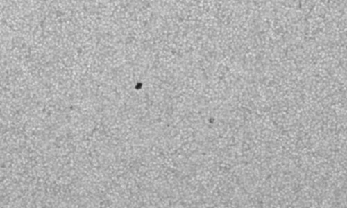 2025年6月24日（活動領域14119）