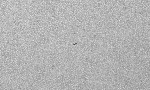 2025年6月25日（活動領域14119）