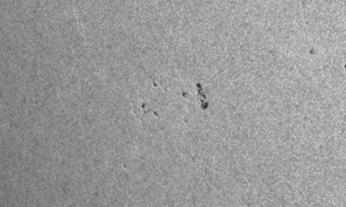 2025年6月29日（活動領域14127）