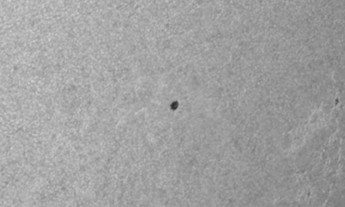 2025年6月29日（活動領域14121）