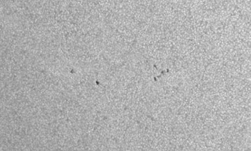 2025年6月29日（活動領域14124）