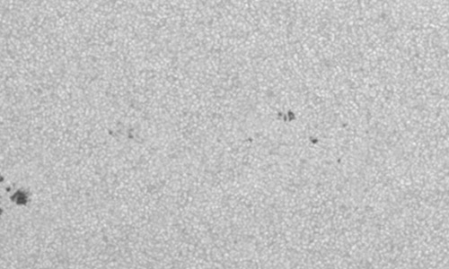 2025年7月1日（活動領域14124）