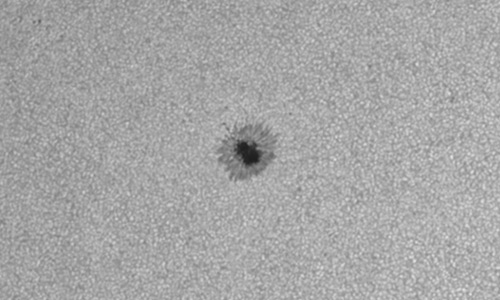 2025年7月1日（活動領域14125）