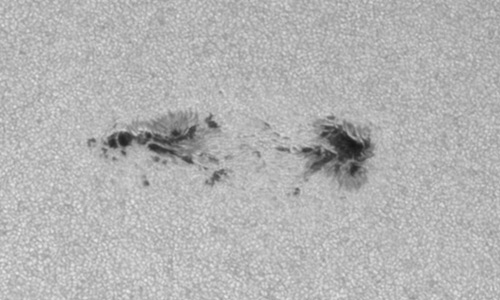 2025年7月12日（活動領域14138）