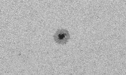 2025年7月13日（活動領域14135）