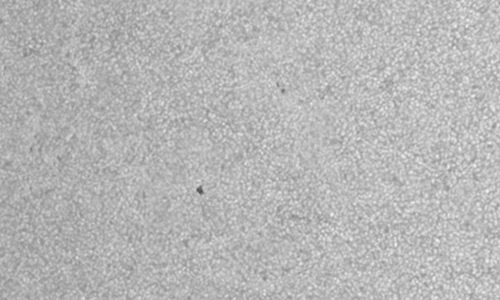 2025年7月24日（活動領域14152）