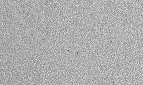 2025年7月25日（活動領域14152）