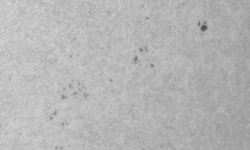 2025年8月1日（活動領域14155）