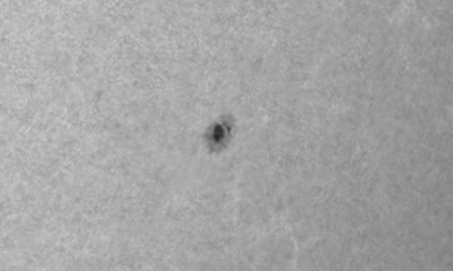 2025年8月1日（活動領域14157）