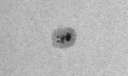 2025年8月3日（活動領域14165）