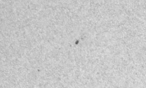 2025年8月11日（活動領域14176）