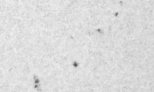 2025年8月18日（活動領域14180）