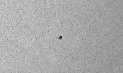 2025年8月23日（活動領域14187）