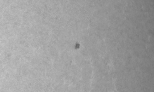 2025年8月28日（活動領域14188）